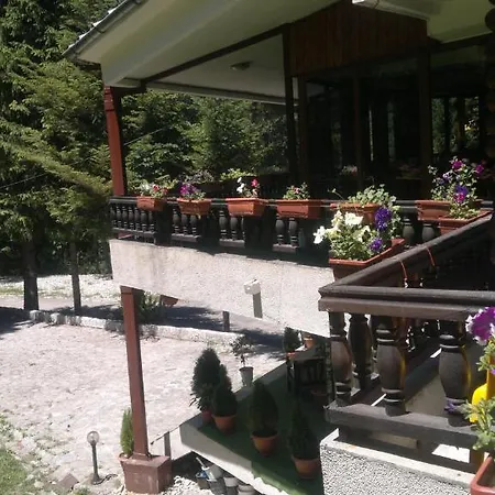 Tofana 3*